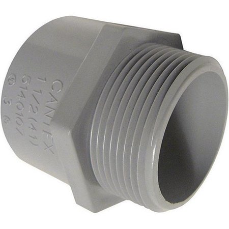 CANTEX Cantex 5140104U 0.75 in. PVC Male Terminal Adapter 3189446